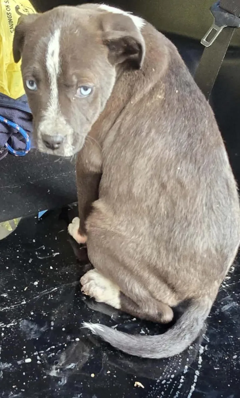 Charlotte thumbnail 2