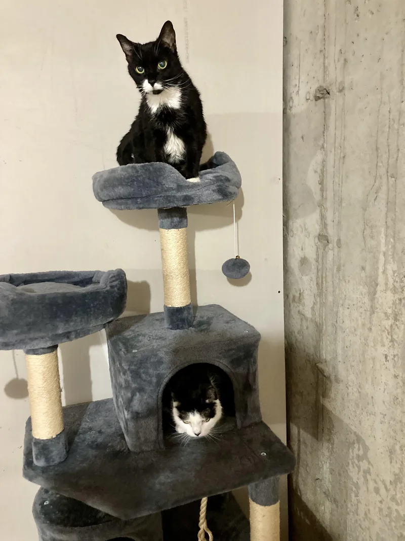 Sofie And Shiloh thumbnail 3