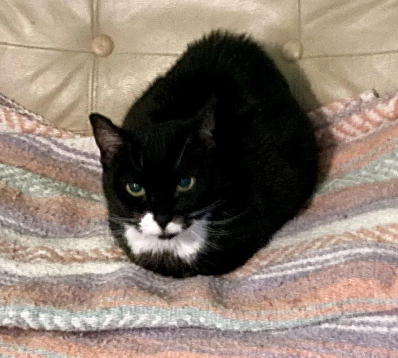 Sofie And Shiloh thumbnail 4