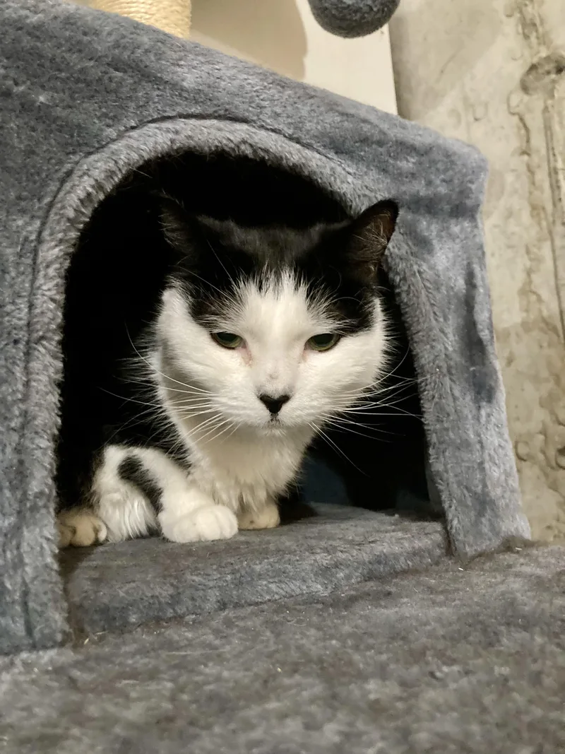 Sofie And Shiloh thumbnail 6