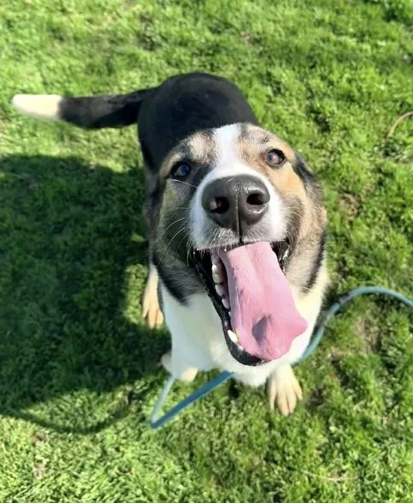 Bernadette thumbnail 2