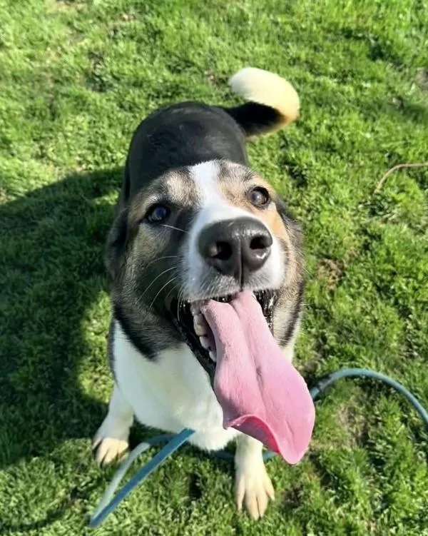 Bernadette thumbnail 3