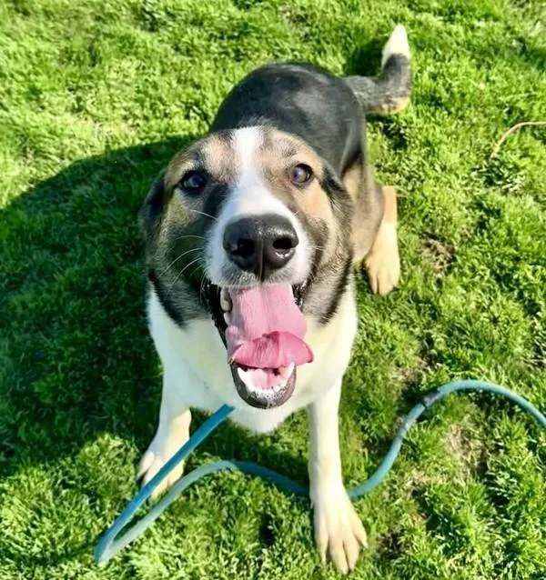 Bernadette thumbnail 4