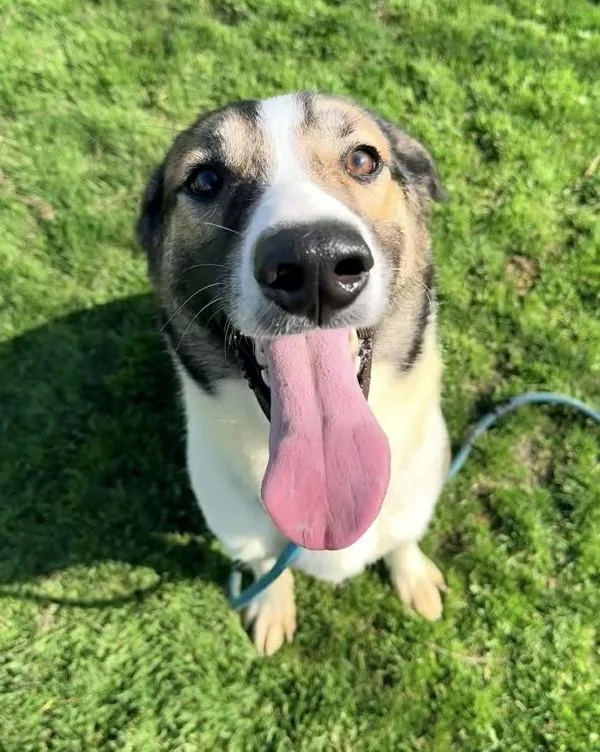 Bernadette thumbnail 5