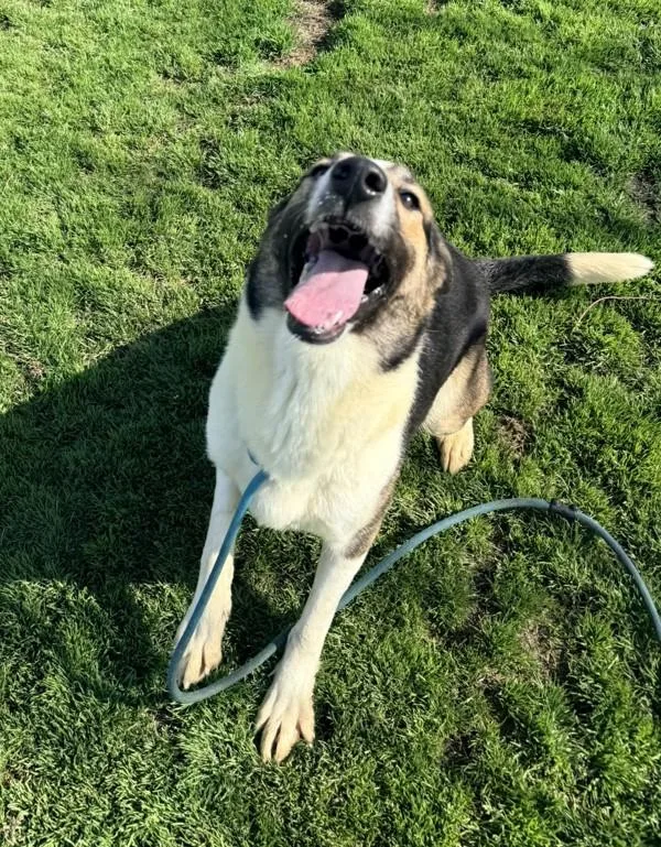 Bernadette thumbnail 6