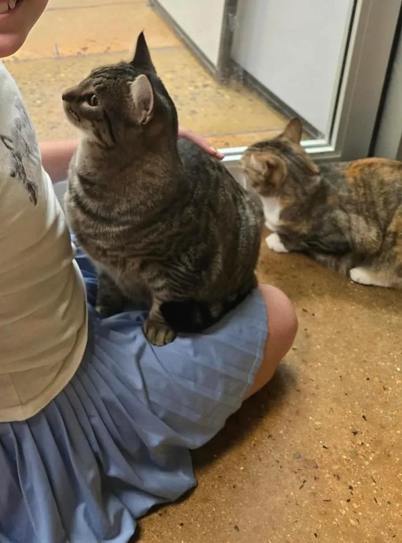 Indie and Ollie BONDED thumbnail 3