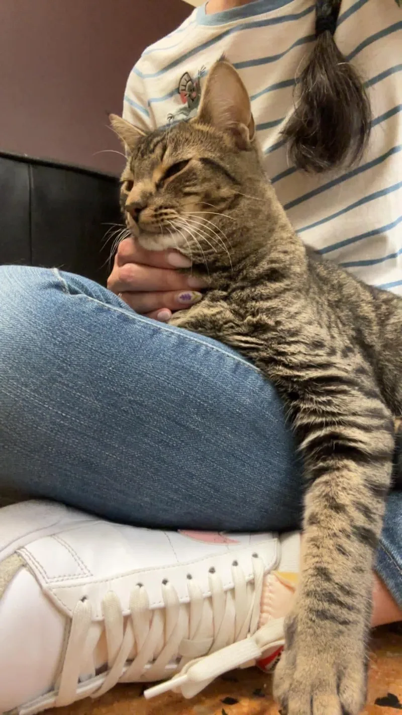 Indie and Ollie BONDED thumbnail 5