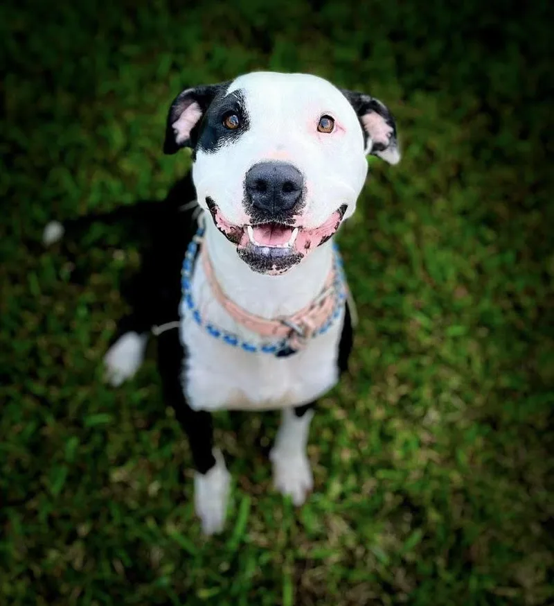 Sadie Marie thumbnail 3