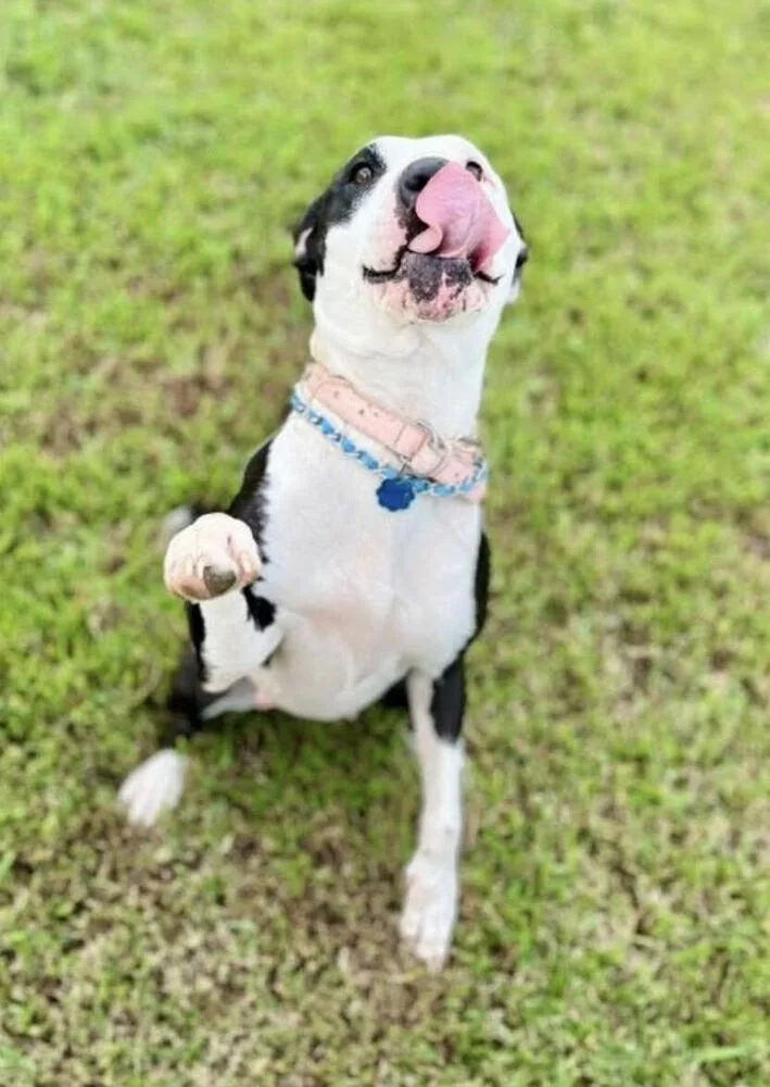 Sadie Marie thumbnail 4