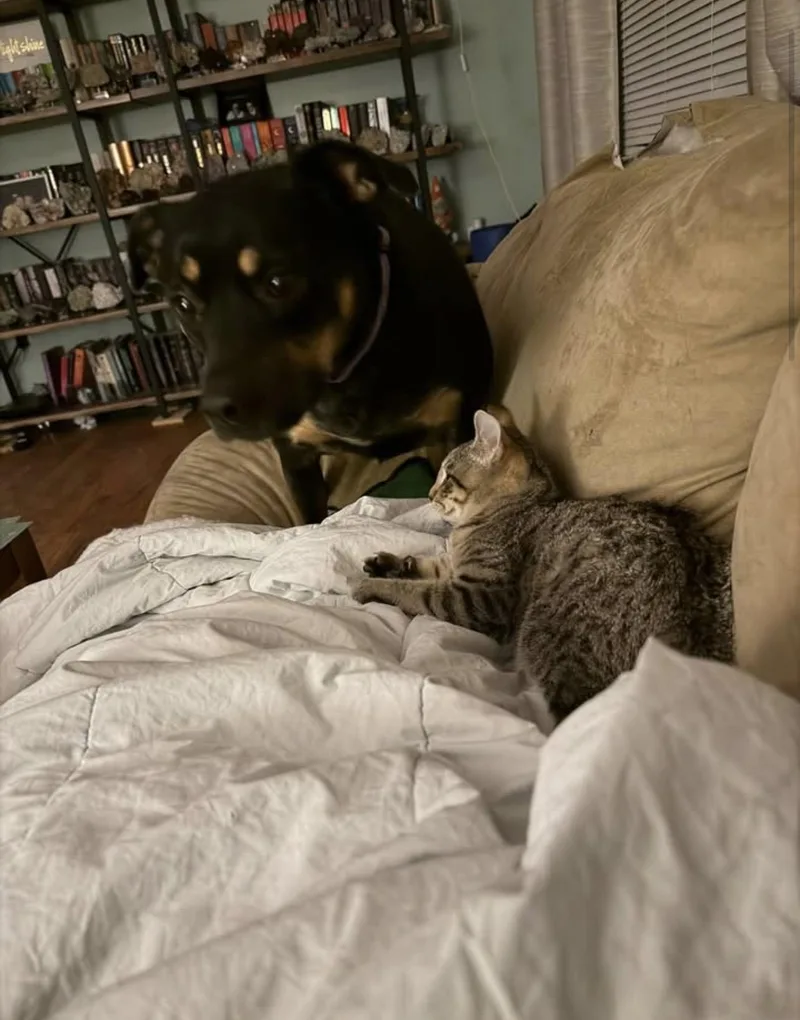 Pip & Rosie thumbnail 4