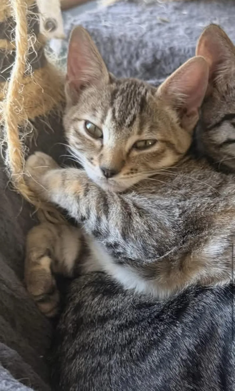 Pip & Rosie thumbnail 5