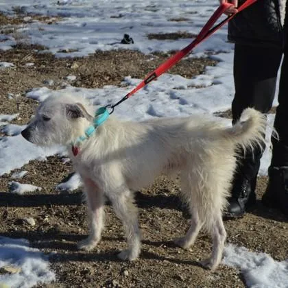 Gilligan thumbnail 2