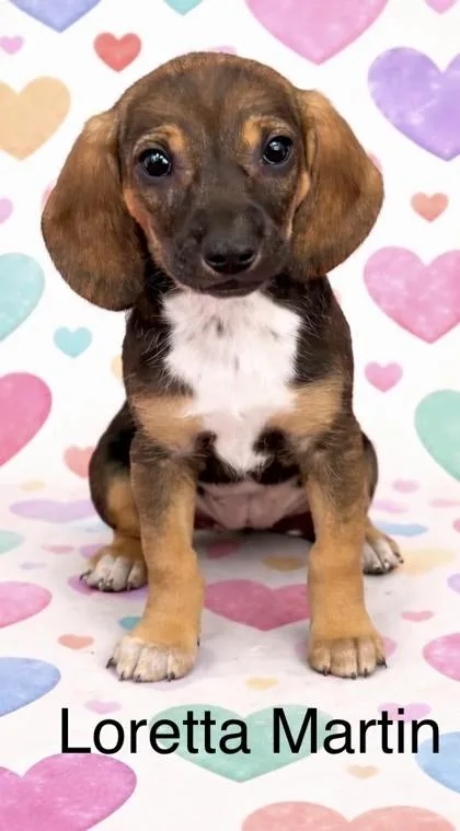 Loretta Martin