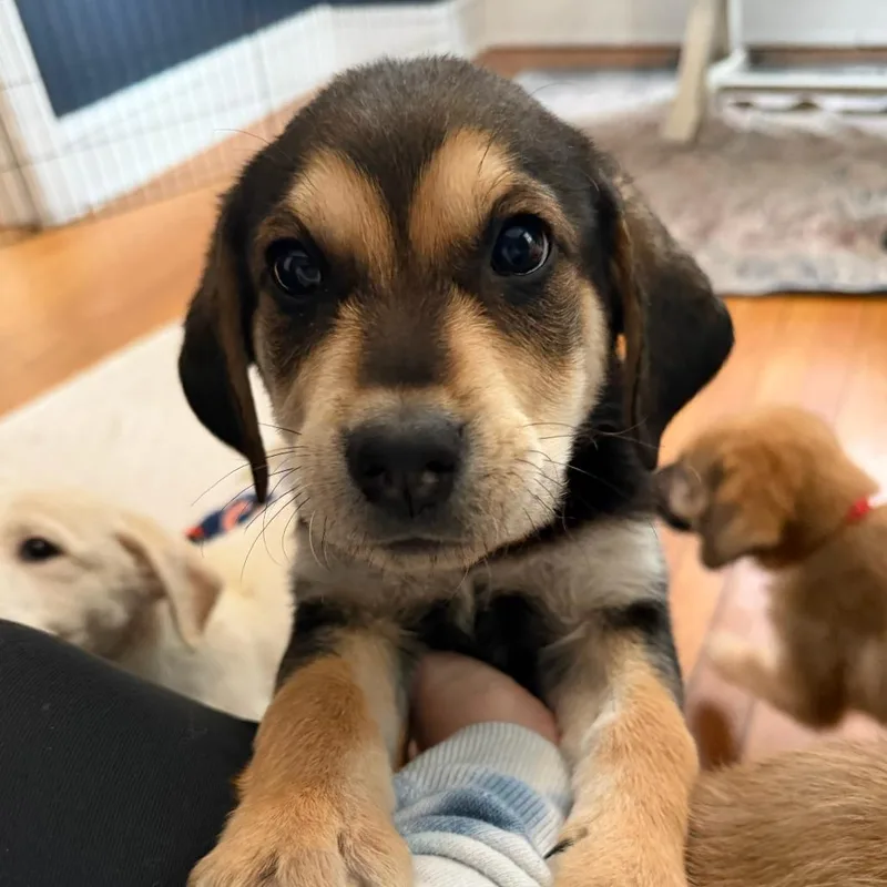 Kendrick Lamar photo 1