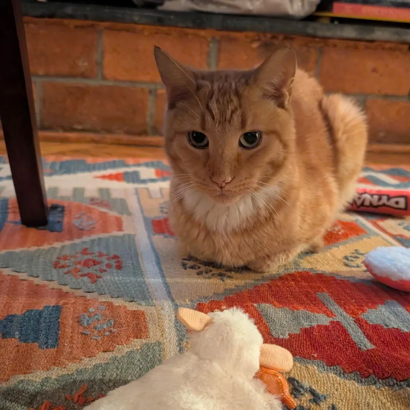 Cry Me A River thumbnail 2