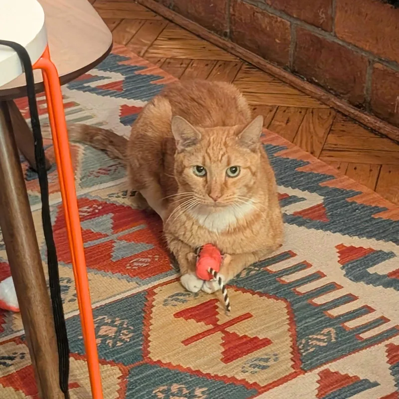 Cry Me A River thumbnail 3