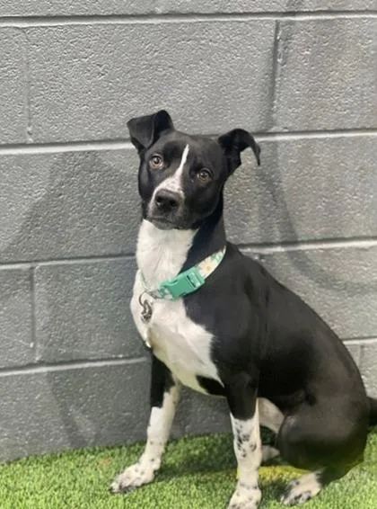 Ms.wiggles thumbnail 2