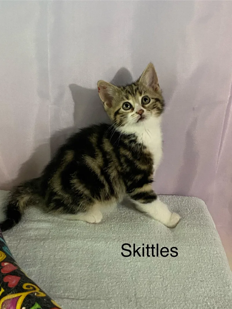 Starburst And Skittles. Inseparable thumbnail 5