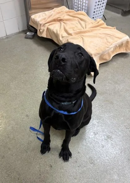 Girlfriend thumbnail 2