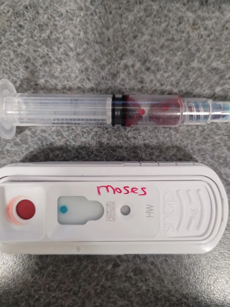 Shadow Statelinemoses