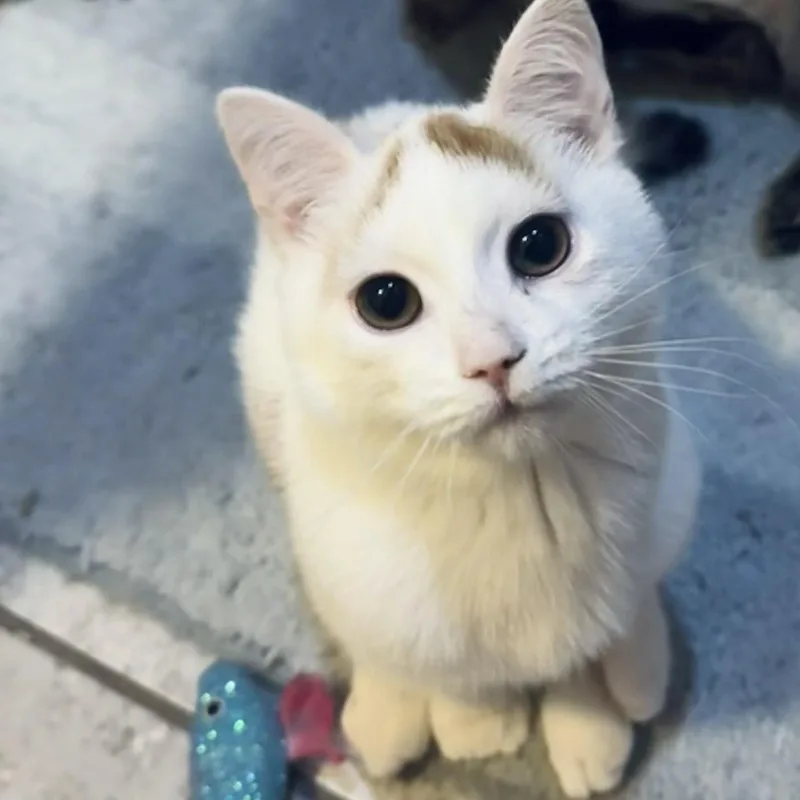 Puddle & Lake thumbnail 3