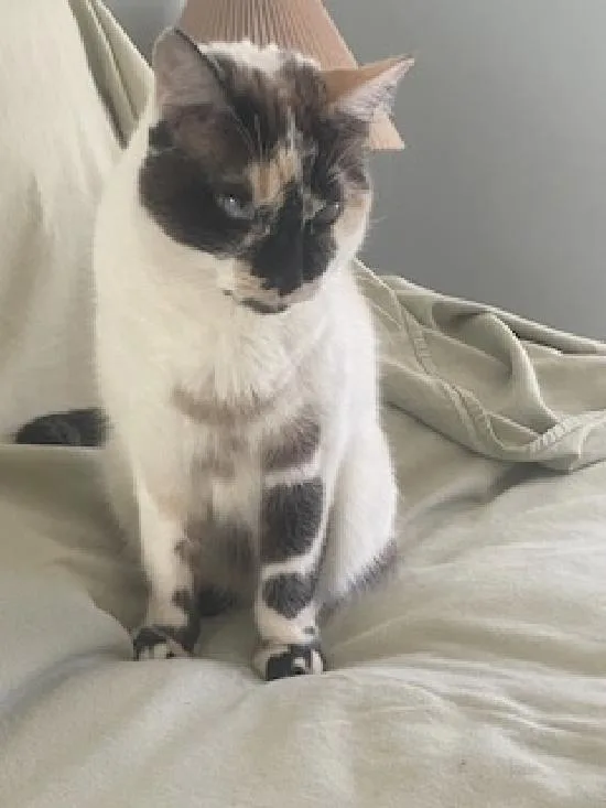 Philomena thumbnail 2