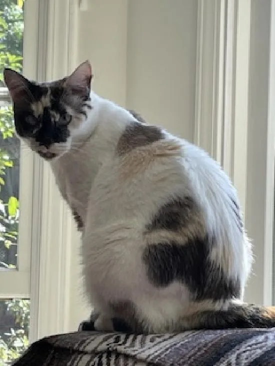 Philomena thumbnail 3