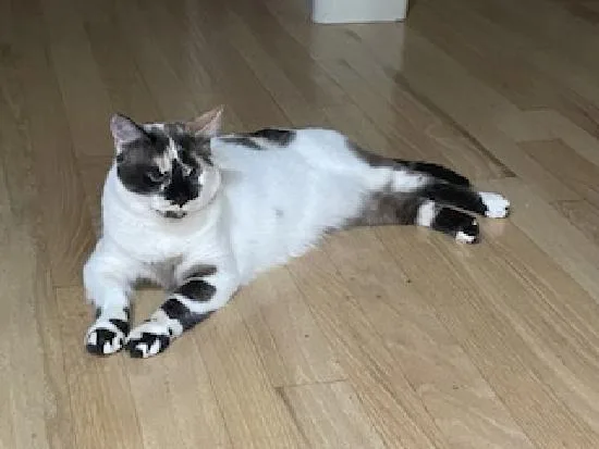 Philomena thumbnail 4