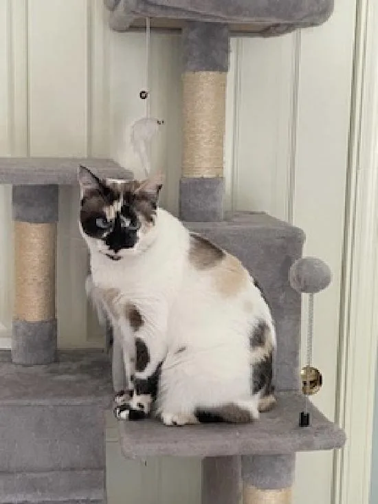 Philomena thumbnail 5