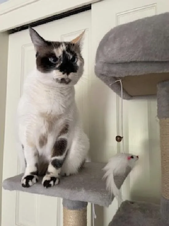 Philomena thumbnail 6