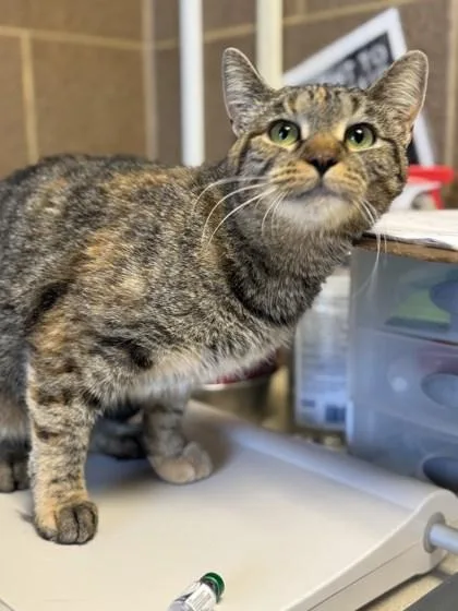 Spindrift thumbnail 2