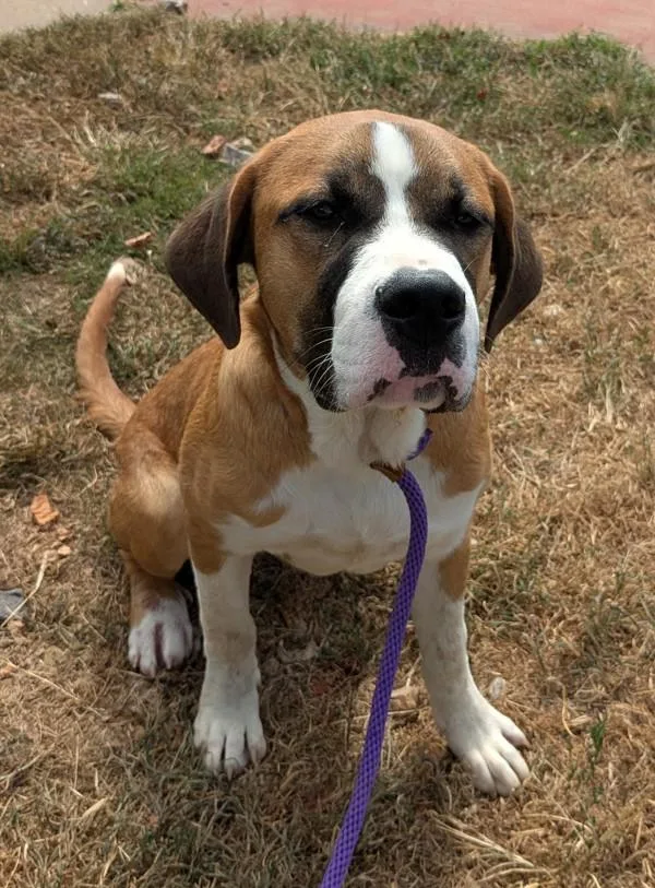 Lakewood thumbnail 2