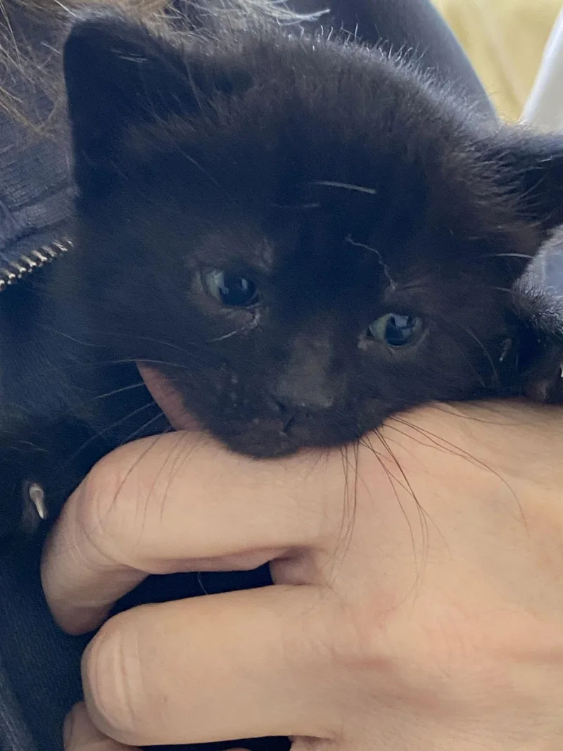 June & Johnny thumbnail 3