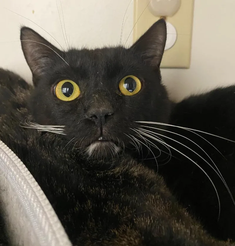 Mirrorball thumbnail 2