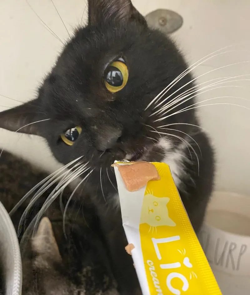 Mirrorball thumbnail 3