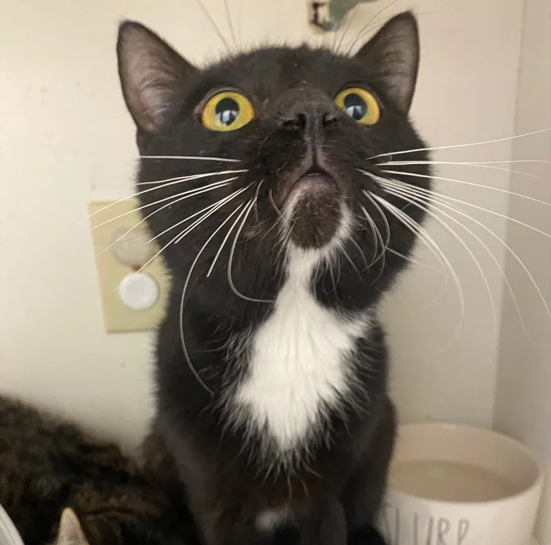 Mirrorball thumbnail 4