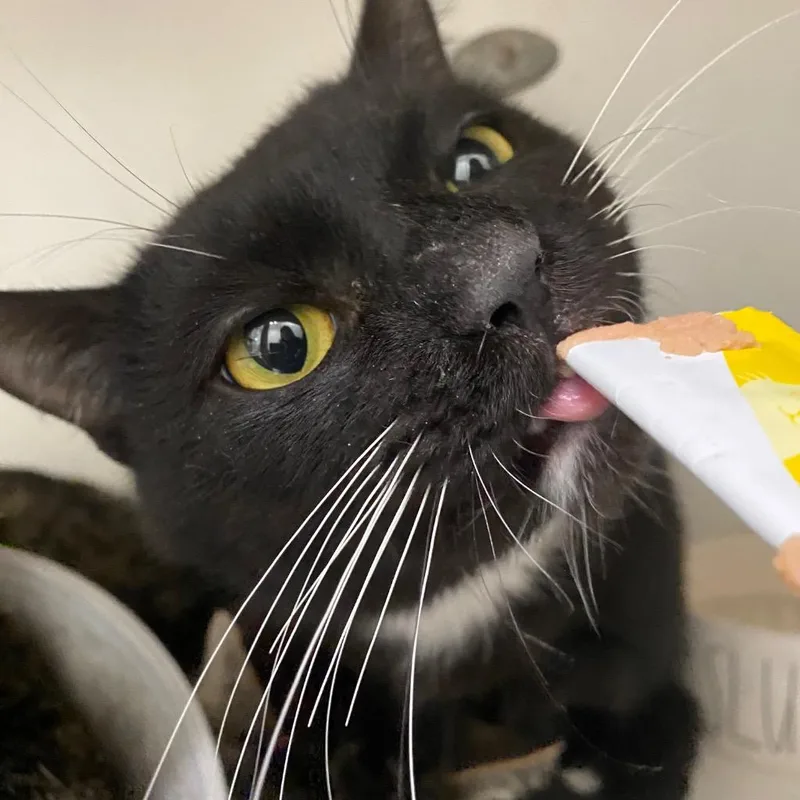 Mirrorball thumbnail 5