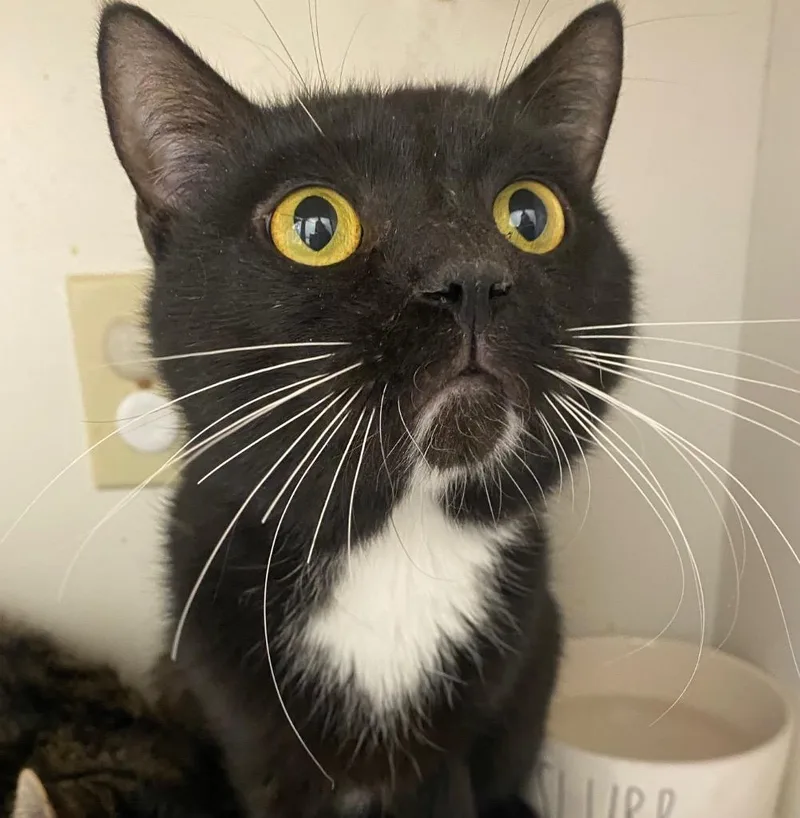 Mirrorball thumbnail 6