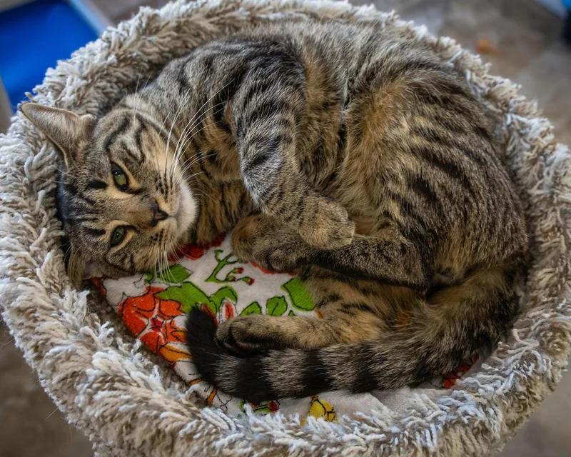 Christian thumbnail 3