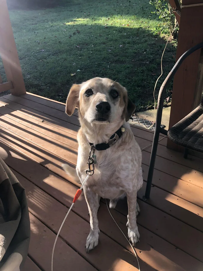 Max: "my Home To thumbnail 2