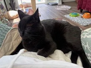 Storm: "my Home To thumbnail 2