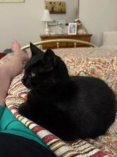 Storm: "my Home To thumbnail 3