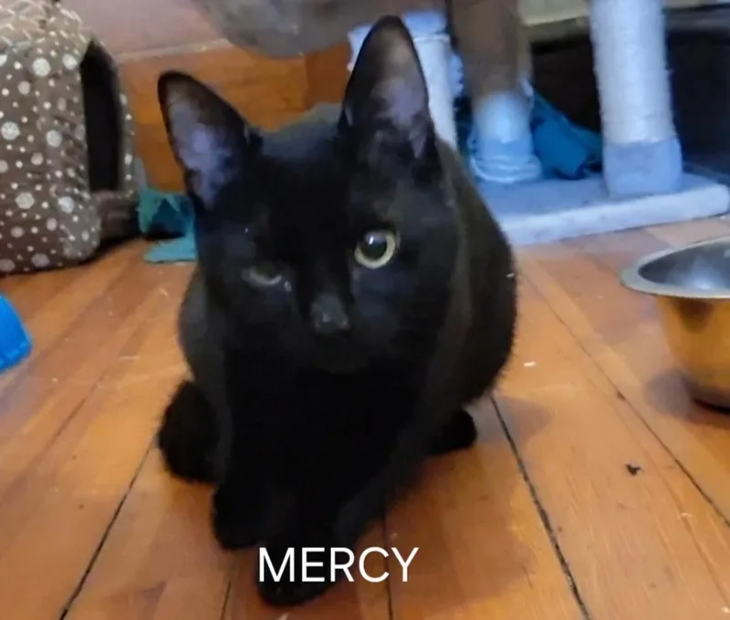 Mercy