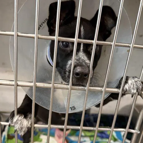 Sabrina Carpenter thumbnail 2