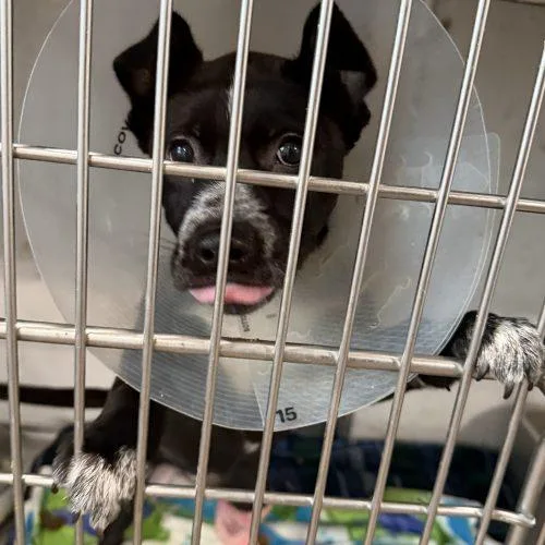 Sabrina Carpenter thumbnail 3