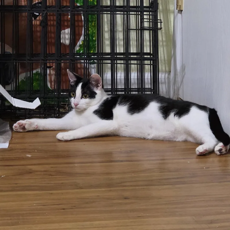 Marilyn Monroe thumbnail 3