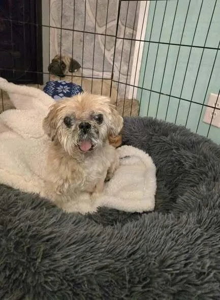 Matilda Jean thumbnail 2