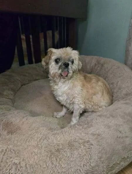 Matilda Jean thumbnail 3