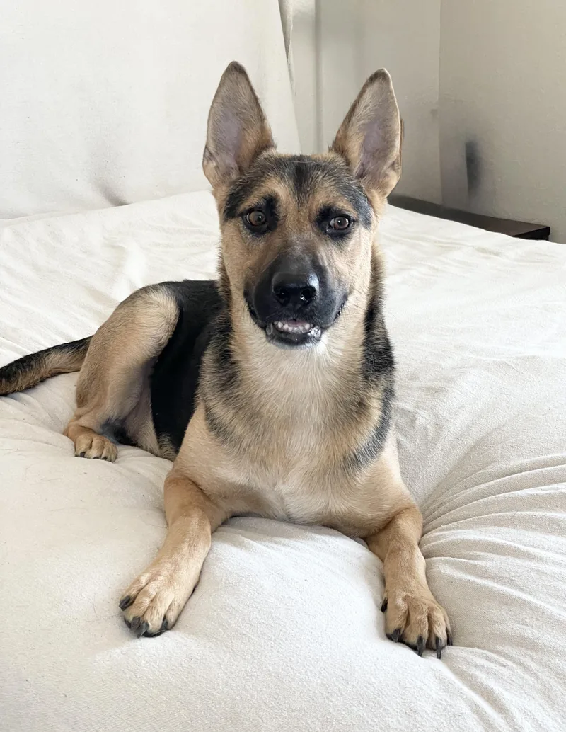 Brilliant Kairo thumbnail 2