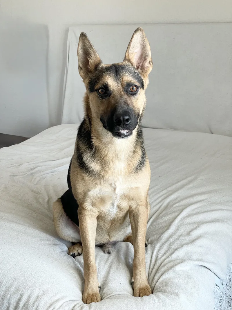 Brilliant Kairo thumbnail 4